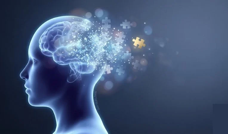 Conceptual illustration of early symptoms of neurological disorders showing a human brain dissolving into puzzle pieces, symbolizing memory loss and cognitive decline on WeightsFits.com.