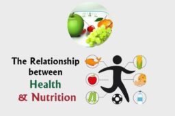 Nutrition and Health : The Essential Connection