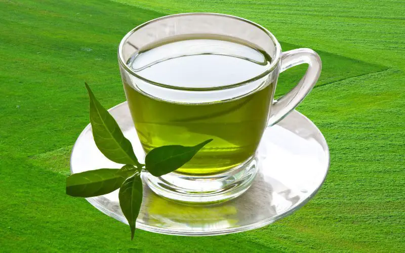 Green tea detox drink to support liver health naturally