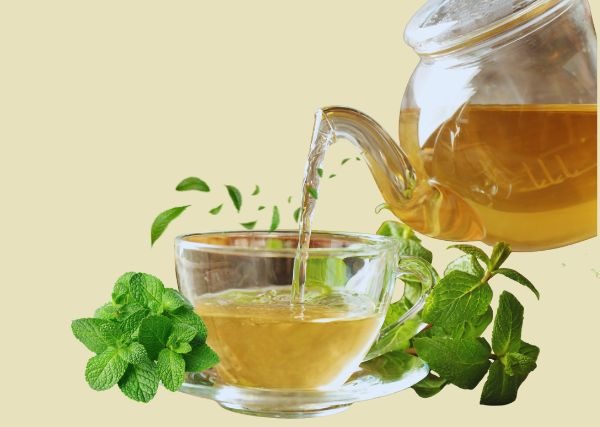 A cup of green tea with fresh mint leaves showing its digestion and weight loss benefits