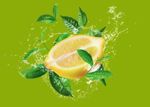 Infographic of green tea and mint leaves health benefits including skin glow, detox, and fat burn