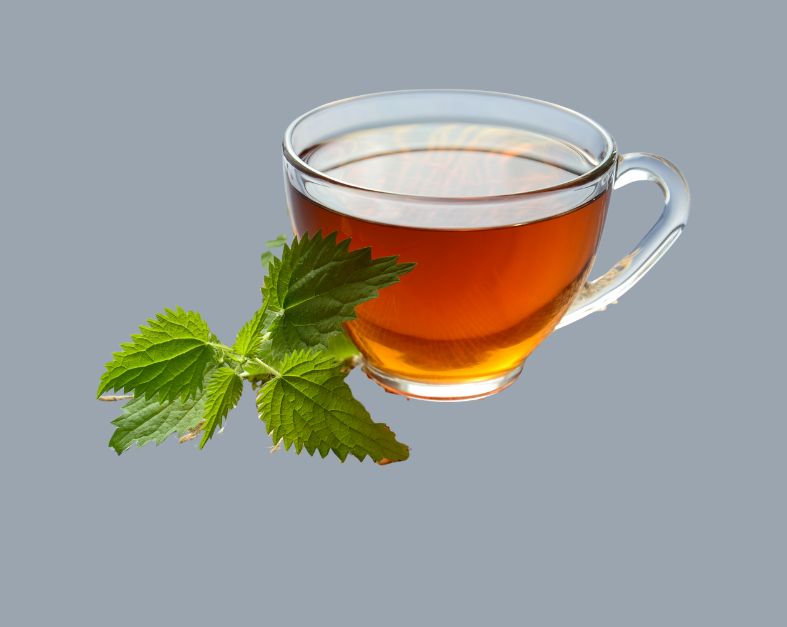 Herbal tea cup with hibiscus and green tea for natural blood pressure support